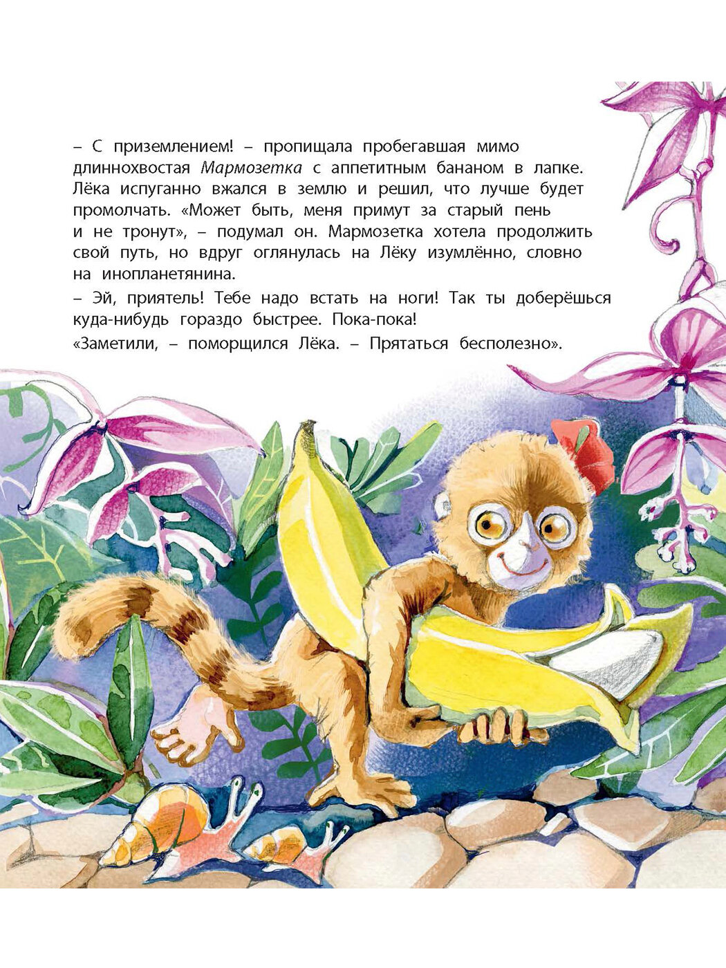 Неленивый ленивец и его соседи - фото №4