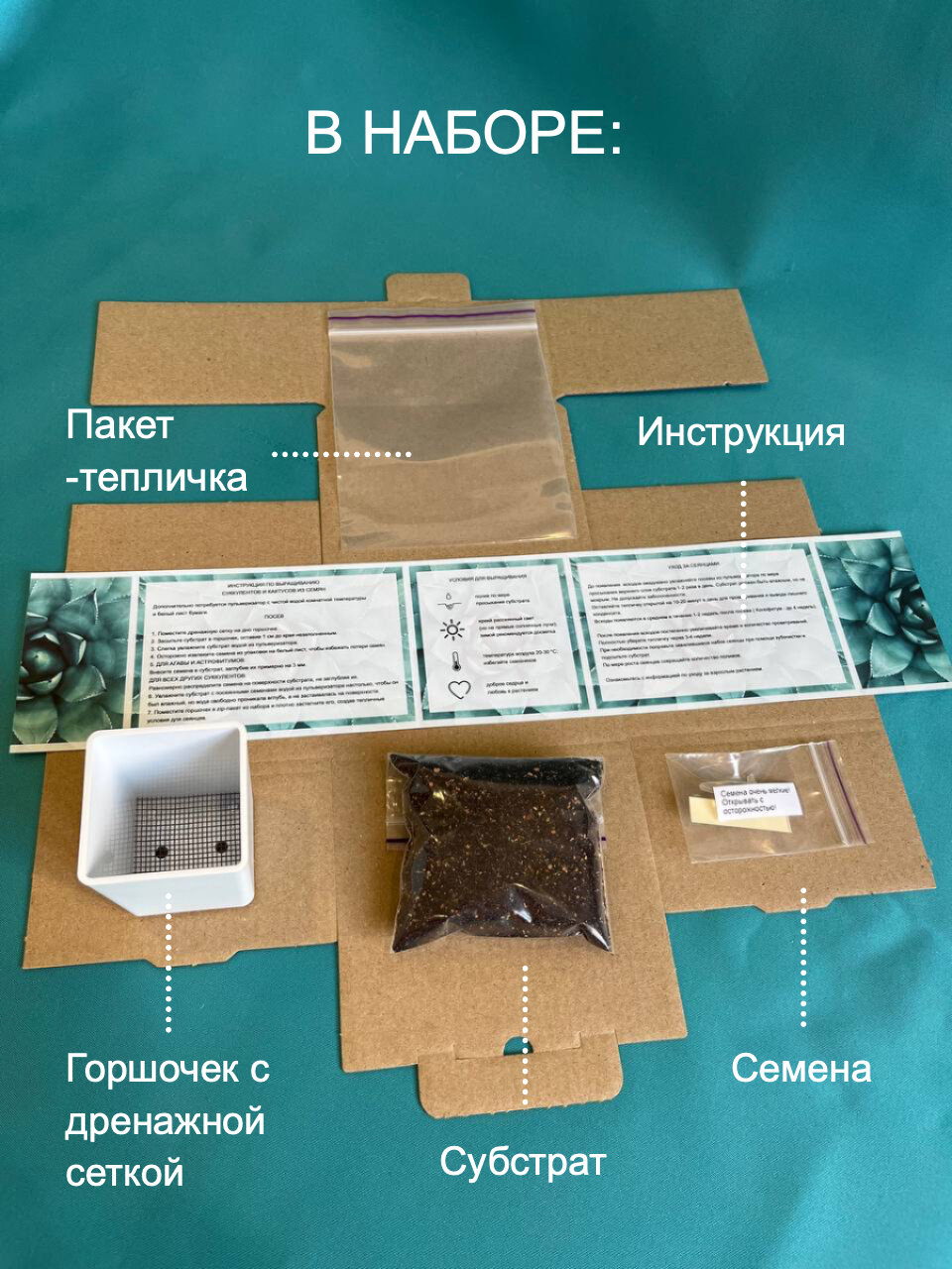 Наборы Для Рассады Астрофитумы MIX Набор для выращивания