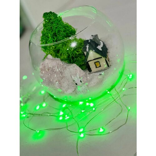 Флорариум Подарок на 8 марта 4690₽