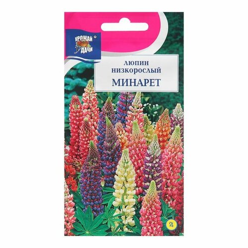 Семена цветов Люпин Минарет, 0,2г ( 1 упаковка )