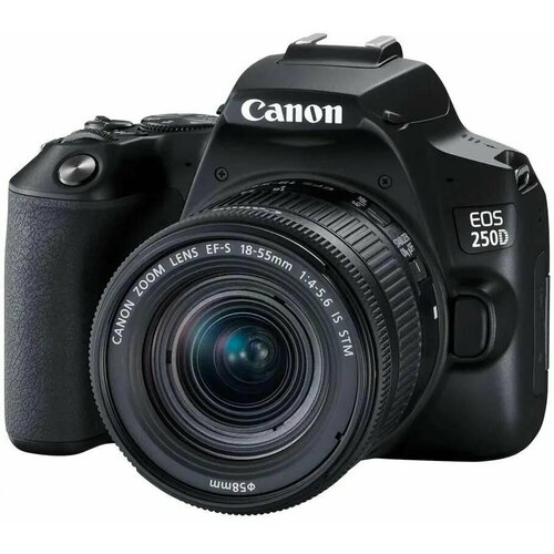 Зеркальный фотоаппарат Canon EOS 250D kit EF-S 18-55mm f14-56 IS STM черный 8325500₽