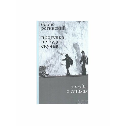 Прогулка не будет скучна: Этюды о стихах