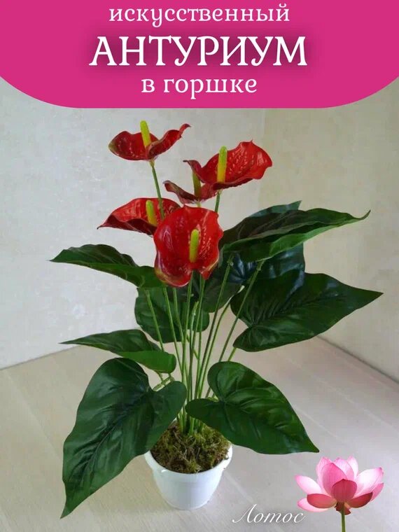 Антуриум красный 5 голов в горшке латексный искусственный от "Лотос"