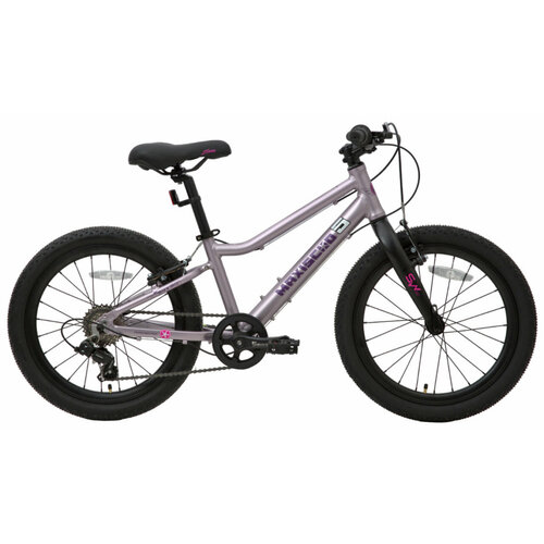 Детский велосипед Maxiscoo 5Bike 20' Girl (2024) 20 Розовый (120-140 см)