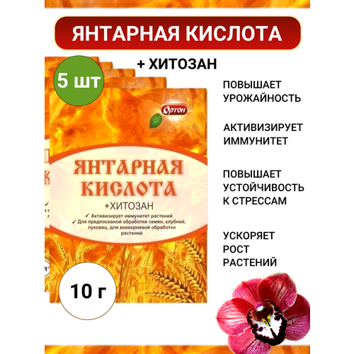 Ортон Янтарная кислота + Хитозан, 5 шт по 10г