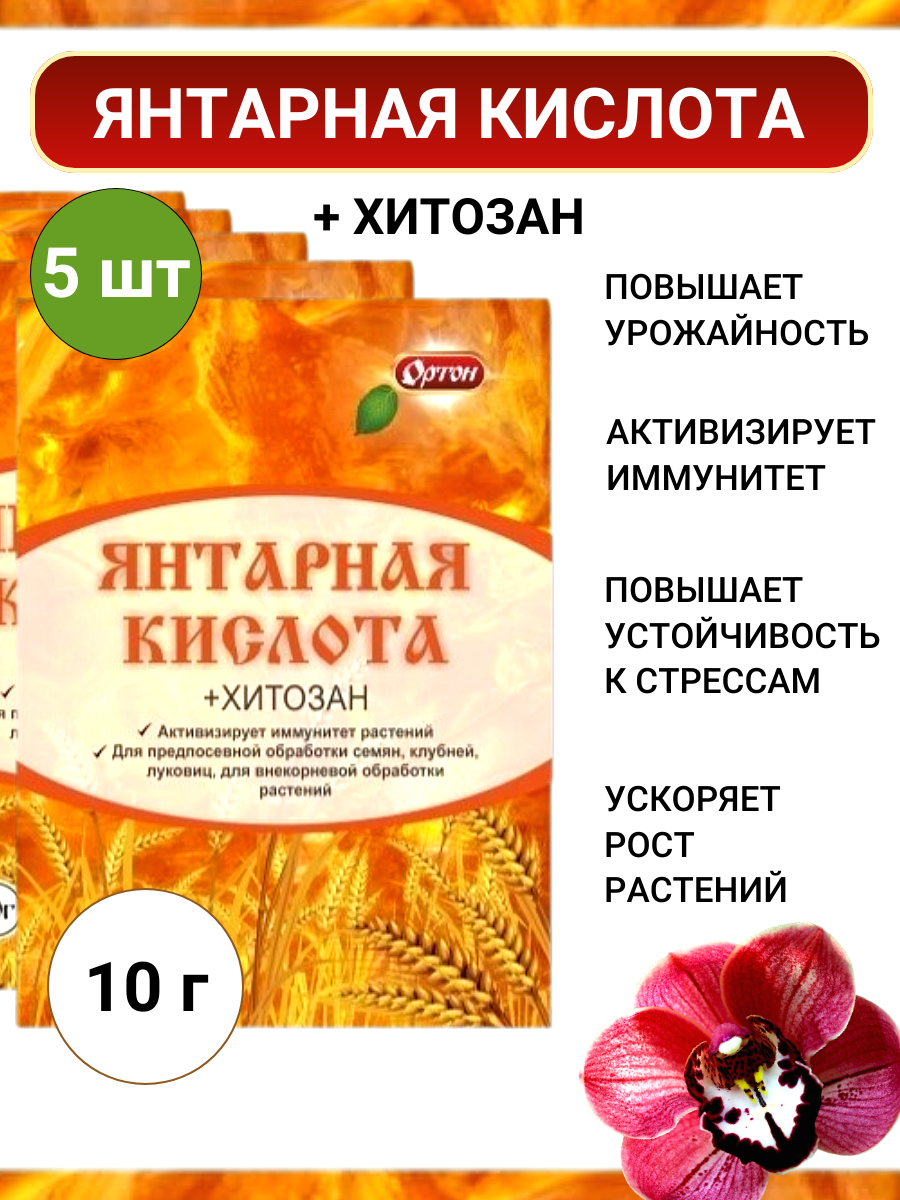 Янтарная кислота + Хитозан, 5 шт по 10г