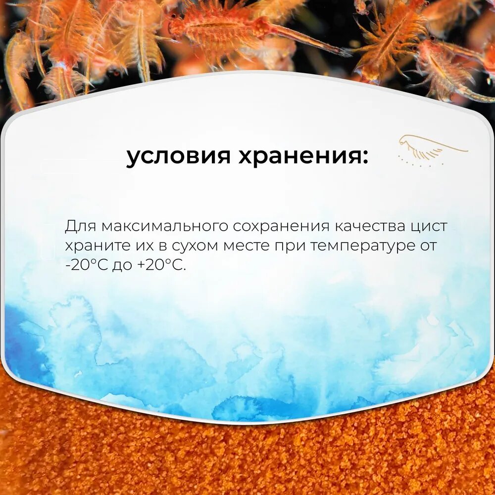Декапсулированные яйца артемии (цисты) - корм для рыб "Сибирский дар" Artemia Salina, 250 мл - для мальков, кораллов, ракообразных - фотография № 10