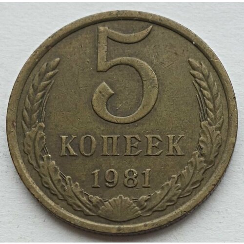 Монета 5 копеек 1981 СССР из оборота