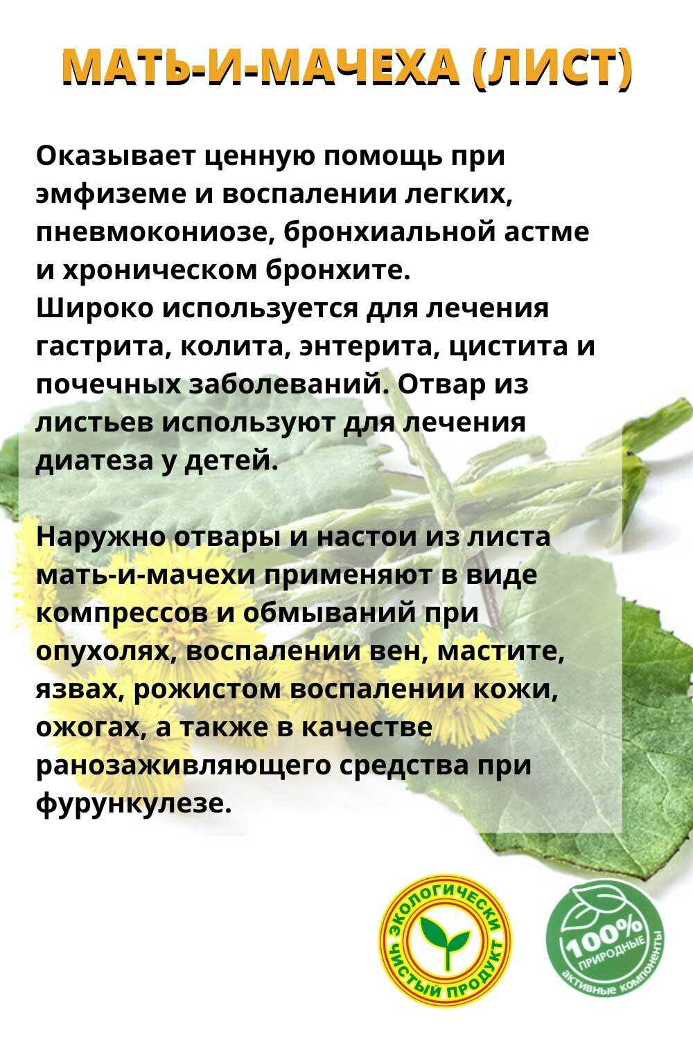 Изображение Мать и мачеха (лист) 100гр.