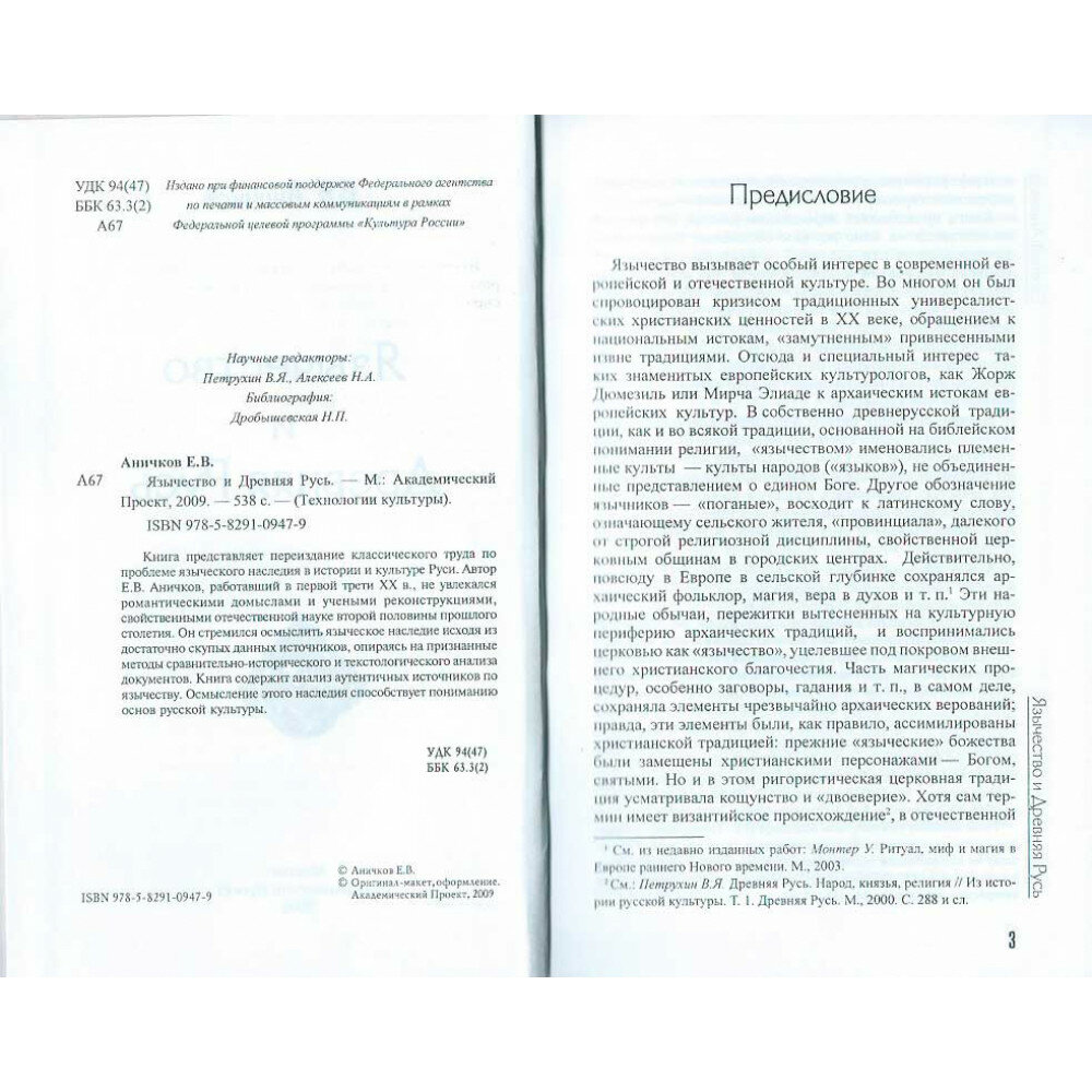 Язычество и Древняя Русь (Аничков Евгений Васильевич) - фото №8