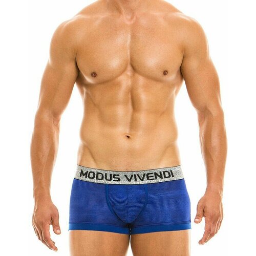 Трусы MODUS VIVENDI Festive Spring Boxer, размер S, синий