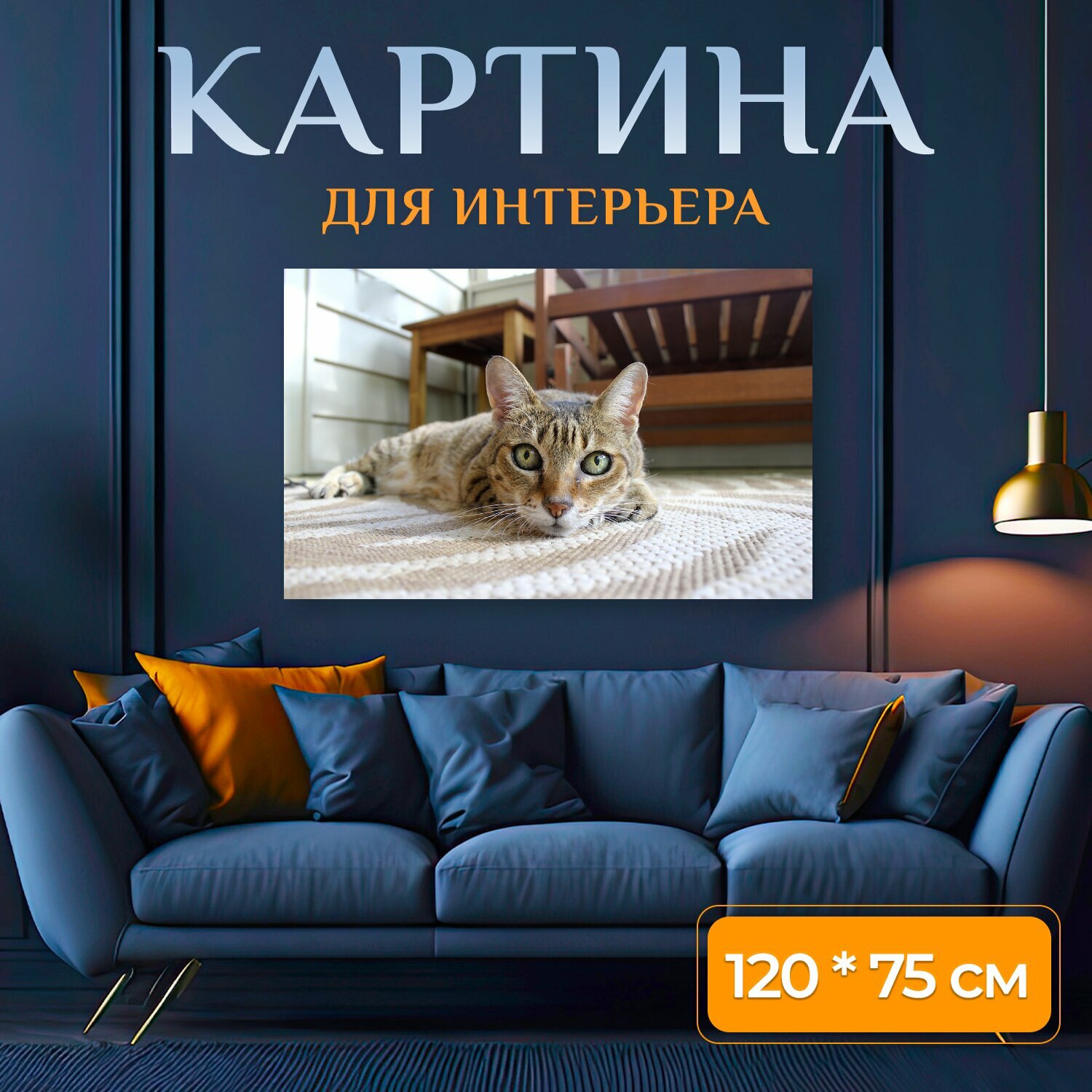 Картина на холсте "Кошка домашние питомцы одомашненный" на подрамнике 120х75 см. для интерьера