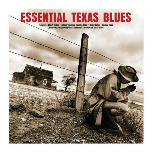 Виниловые пластинки, Not Now Music, VARIOUS ARTISTS - Essential Texas Blues (LP) виниловые пластинки not now music albert king i get evil lp