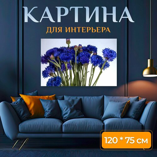 Картина на холсте "Васильковый, цветок, полевой цветок" на подрамнике 120х75 см. для интерьера