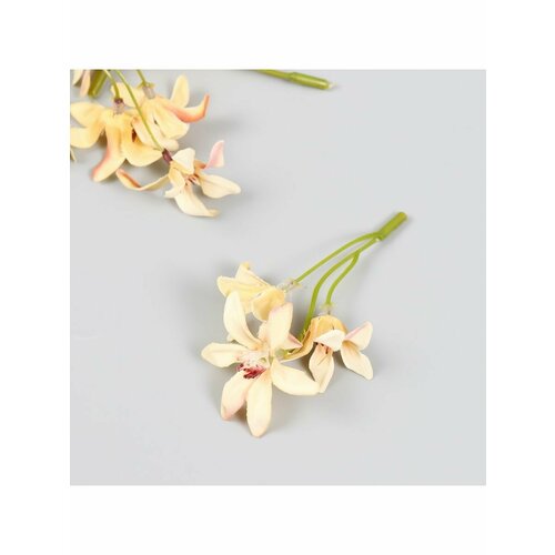 Цветы для декорирования Лилейник ванильный 8,5 см цветы для декорирования лилейник ванильный 8 5 см 5 шт