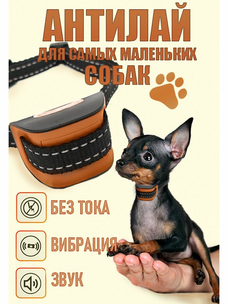 Антилай PET 665 M (mini)