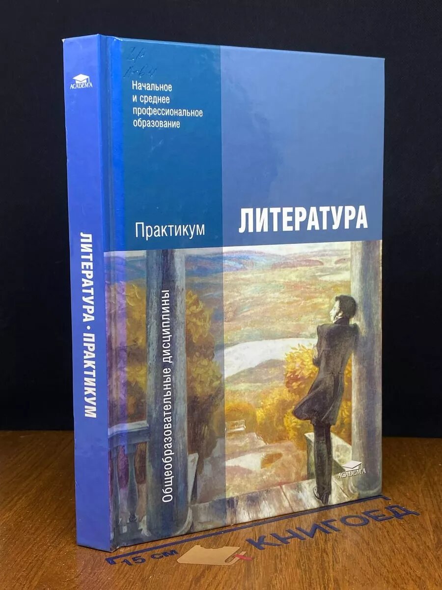 Литература. Практикум 2013 (2039769797287)