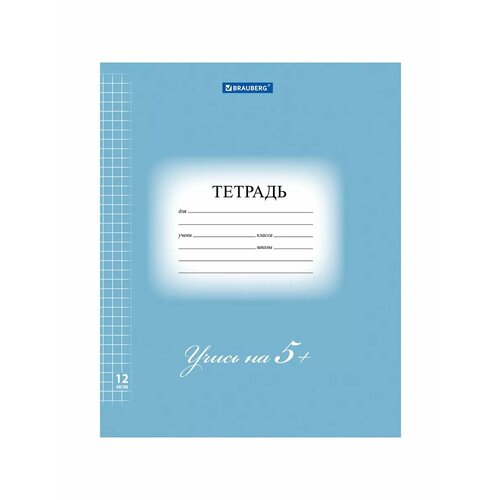 Тетради 12 л. ЭКО 5-КА, клетка, синяя, 50 шт.