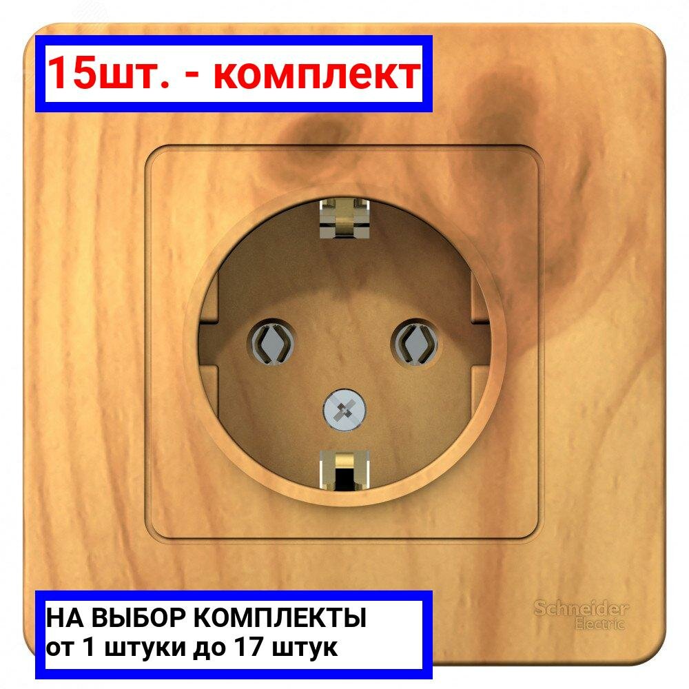 фото Розетка Systeme Electric BLNRS001015 Blanca, 16 А, с заземлением