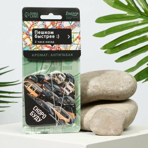 Ароматизатор в авто Скоро буду аромат антитабак 442₽