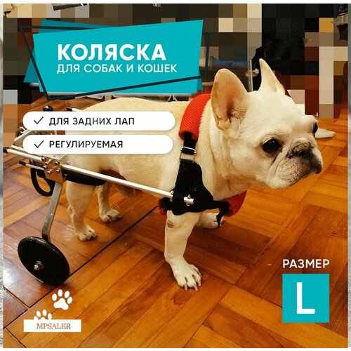 Инвалидная коляска для собак и кошек. Коляска для животных инвалидов. Универсальная. Размер L