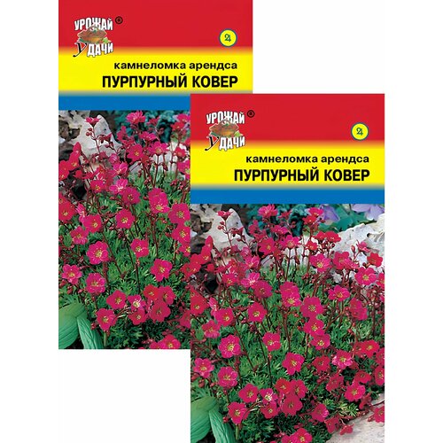 Камнеломка Пурпурный ковер (0,01 г), 2 пакета