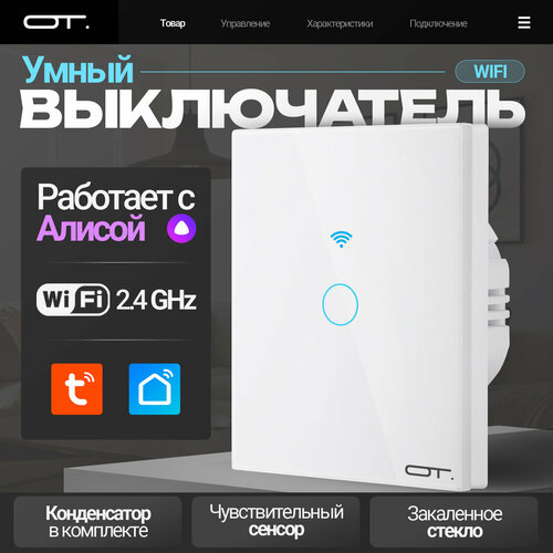 Умный выключатель с Алисой одноклавишный Wi-Fi 10A Орбита OT-HOS12