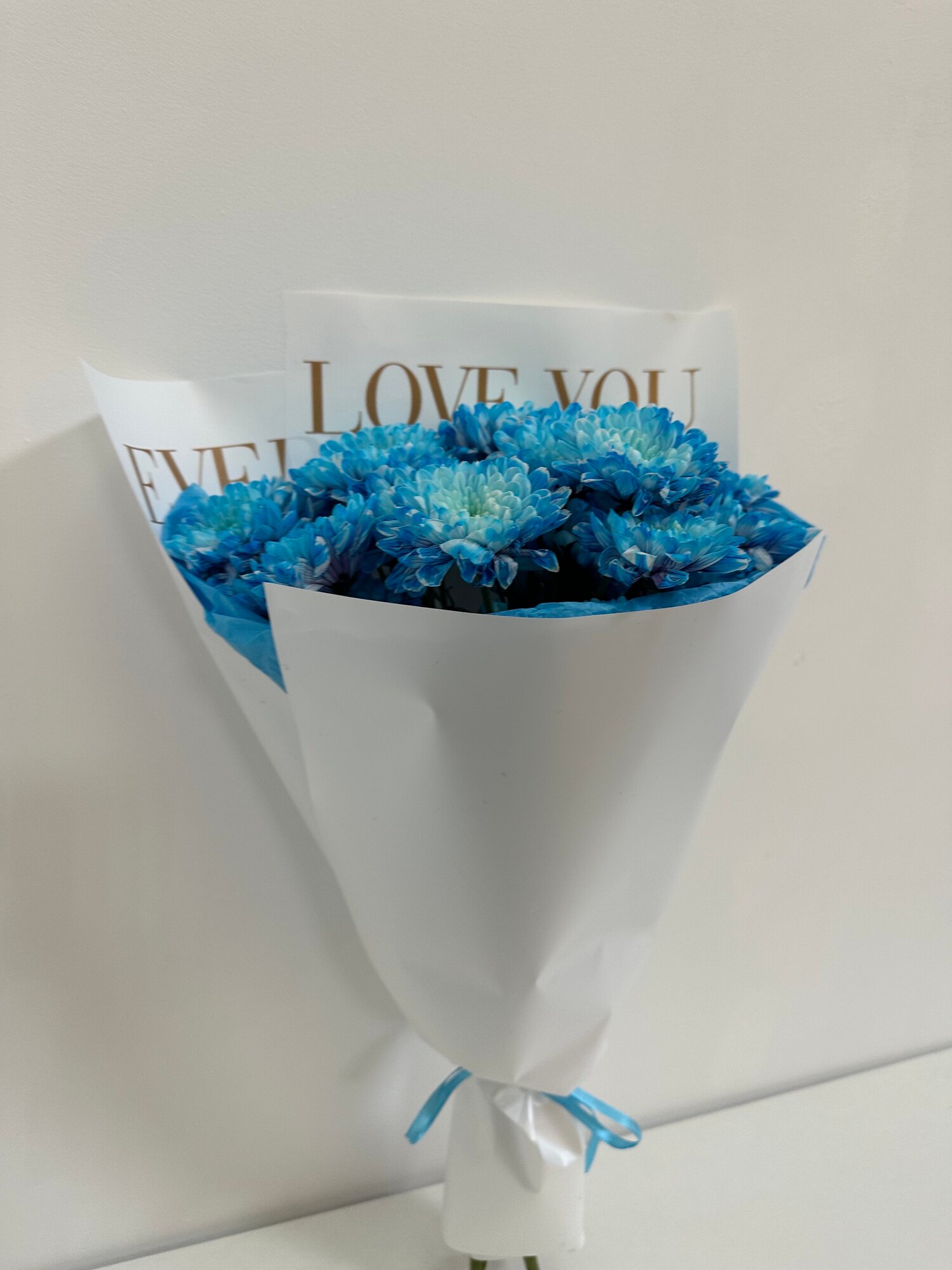 Синие хризантемы