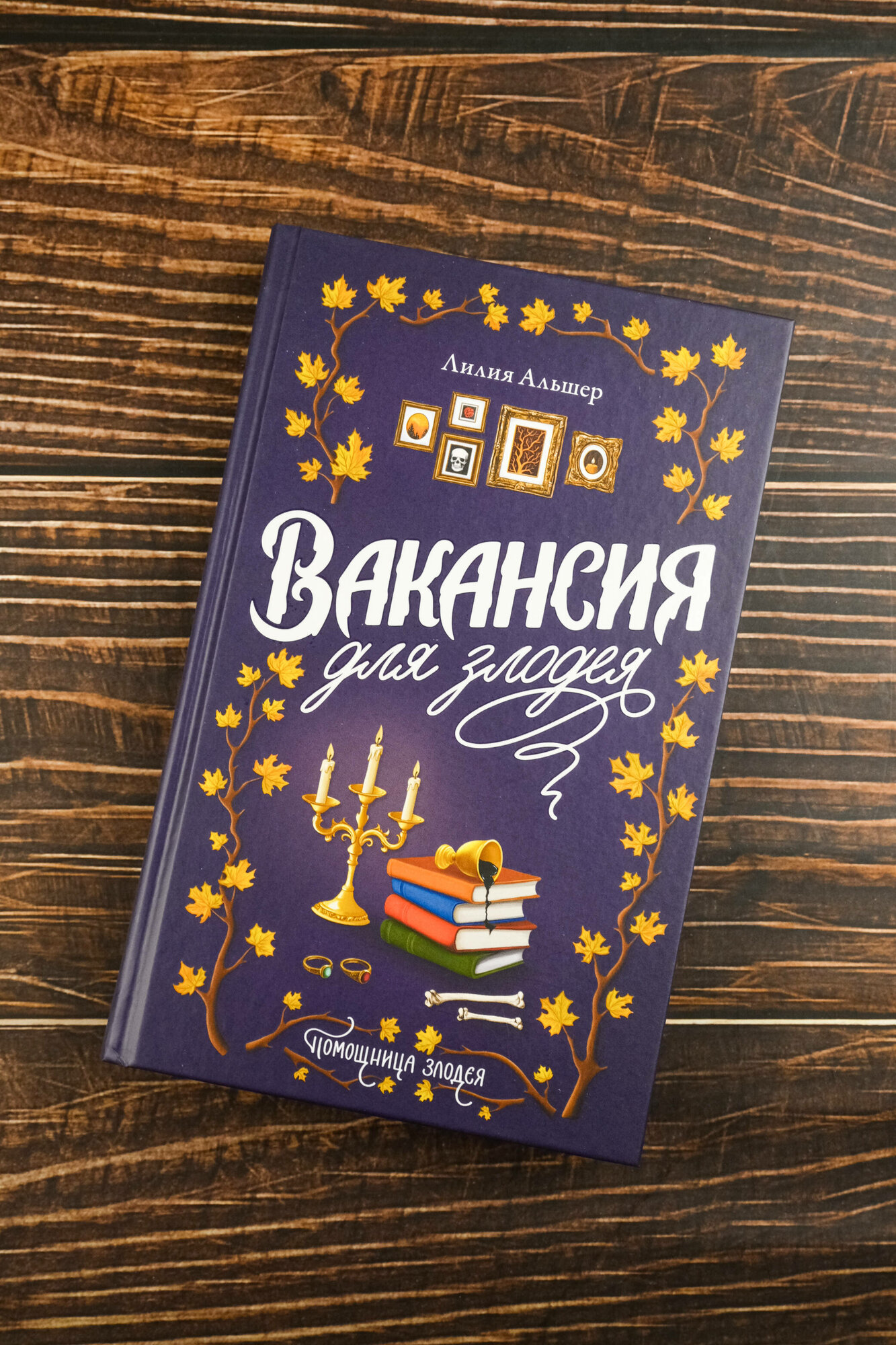 Вакансия для злодея Лилия Альшер — фото 1