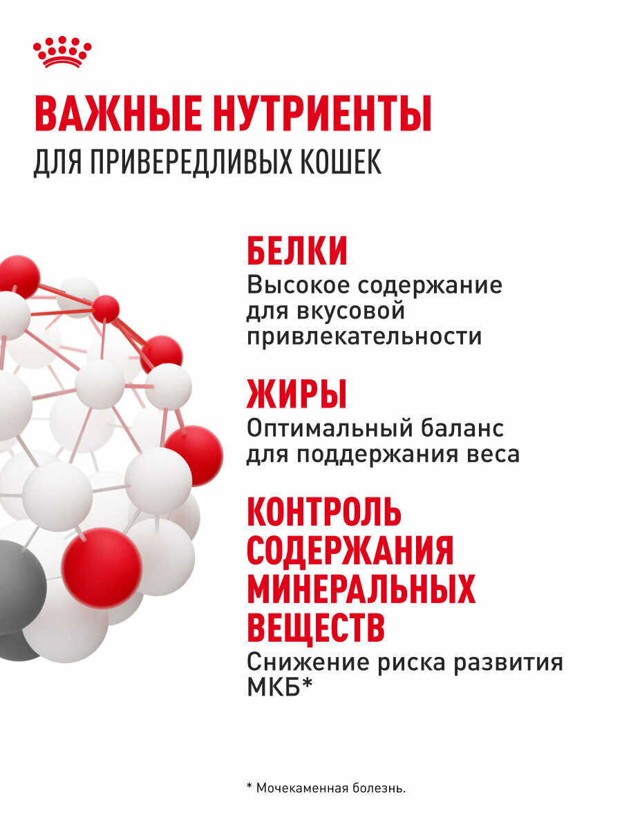 Сухой корм для привередливых кошек Royal Canin Protein Exigent, 2 кг — фото 1