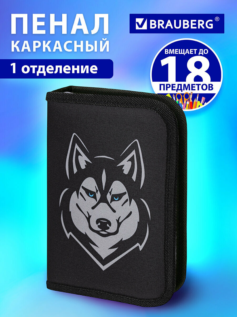 Пенал школьный для мальчика / подростка для ручек, карандашей Brauberg, 1 отделение, полиэстер, 21х14 см, Husky, 271532