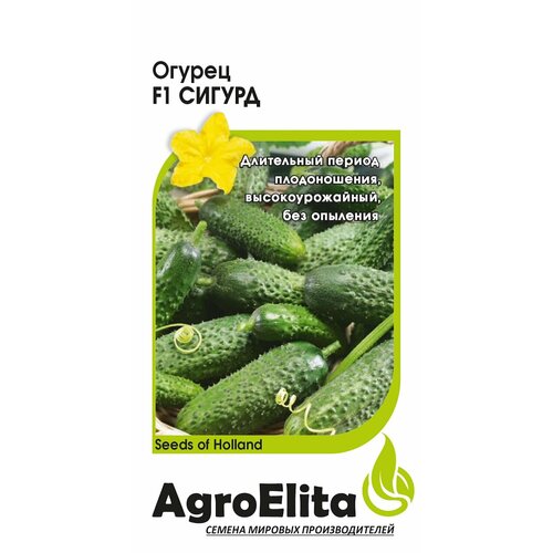 Семена Огурец Сигурд F1, 5шт, AgroElita, Enza Zaden семена укроп грин сливз 1 0г agroelita enza zaden