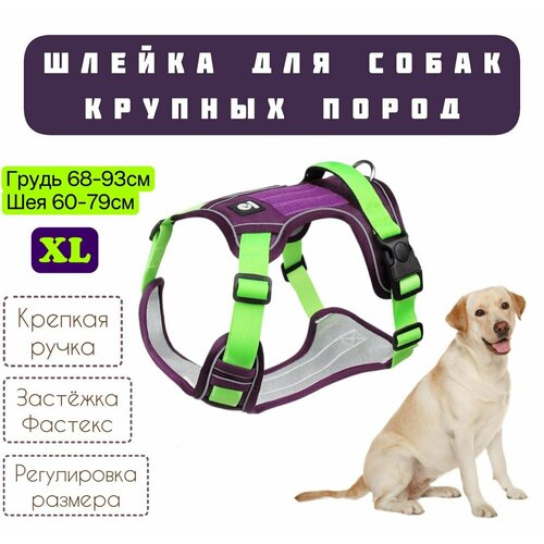 Шлейка для собак средних и крупных пород универсальная прогулочная тренировочная для дрессировки фиолетовый/салатовый, ХL
