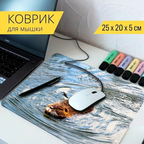 Коврик для мыши с принтом Бобр, ондатра, вода 25x20см.