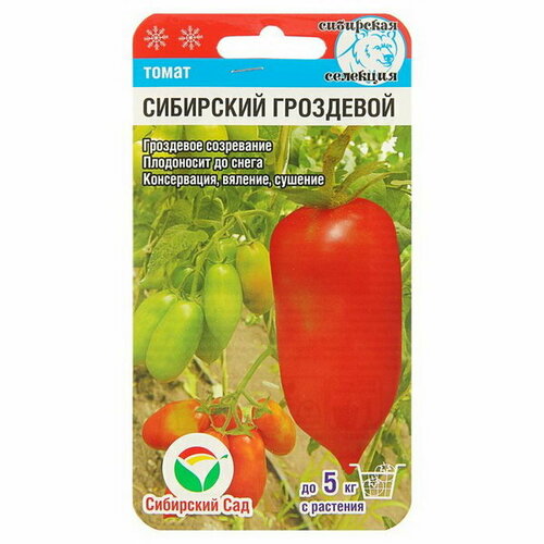 Семена Томат Сибирский гроздевой, среднеспелый, 20 шт