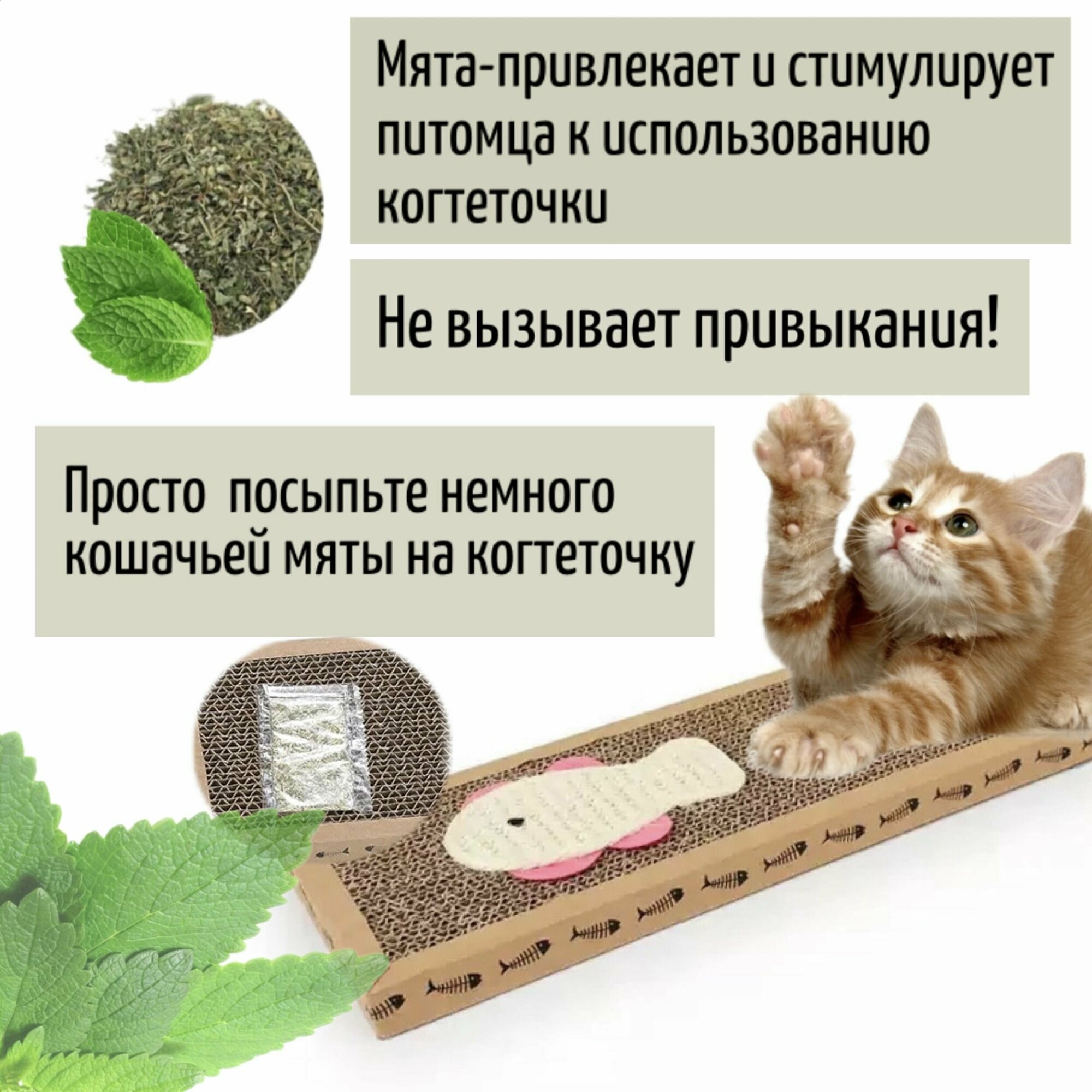 Когтеточка для кошек и котят картонная лежанка с кошачьей мятой - фотография № 5