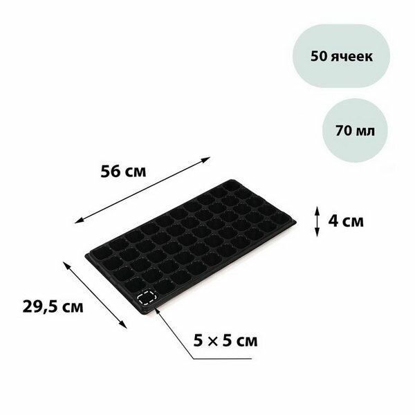 Кассета для рассады, на 50 ячеек, по 70 мл, из пластика, чёрная, 56 x 29.5 x 4 см