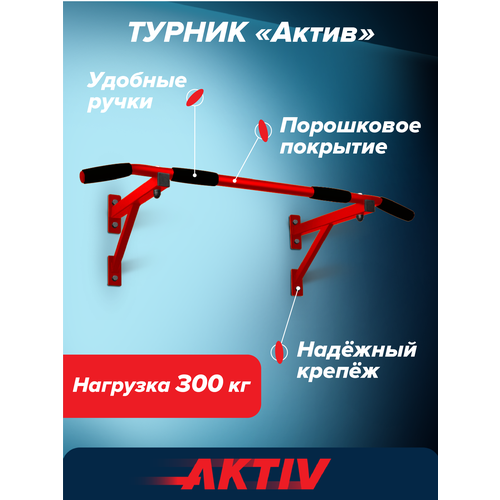 Турник настенный Aktiv красный разборный Aktiv