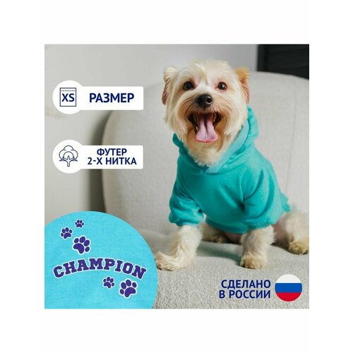 Толстовка Champion для собак футер, размер XS ДС 18, ОШ 28-3