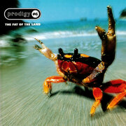 Виниловая пластинка The Prodigy: The Fat of the Land. 2 LP