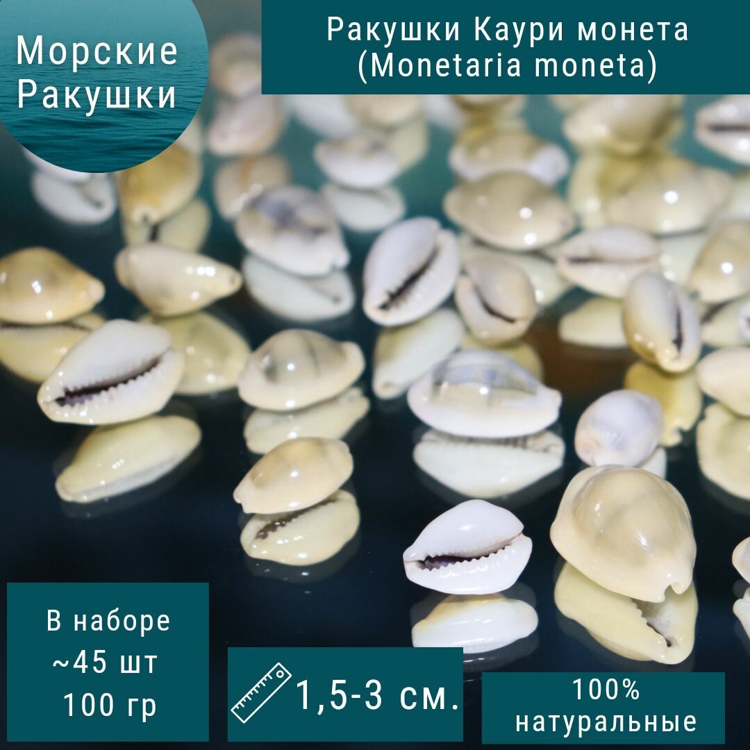 Морские ракушки Каури Ципрея монета натуральные 100 гр.