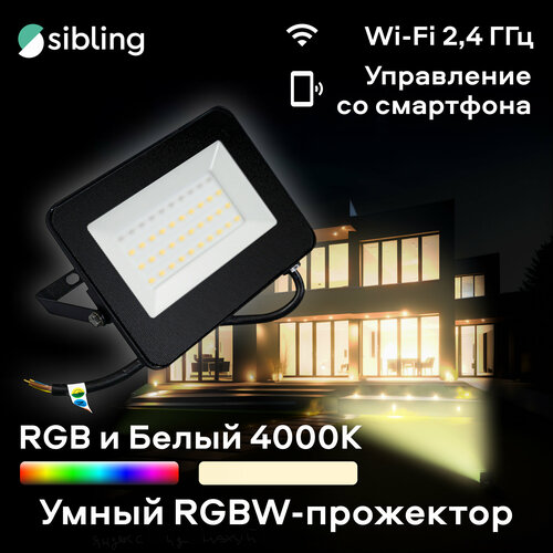 Умный RGBW прожектор Sibling Powerlight-LO W-2 220000₽