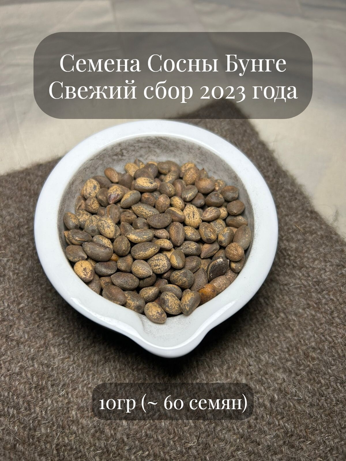 Семена Сосны Бунге