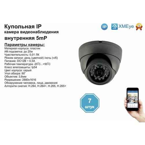 7шт DVS300IP5MP Внутренняя IP камера 5мП с ИК до 20м 2230000₽