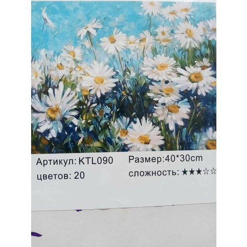 Картина по номерам *Ромашки*30х40 картина по номерам т292 ромашки 40x60