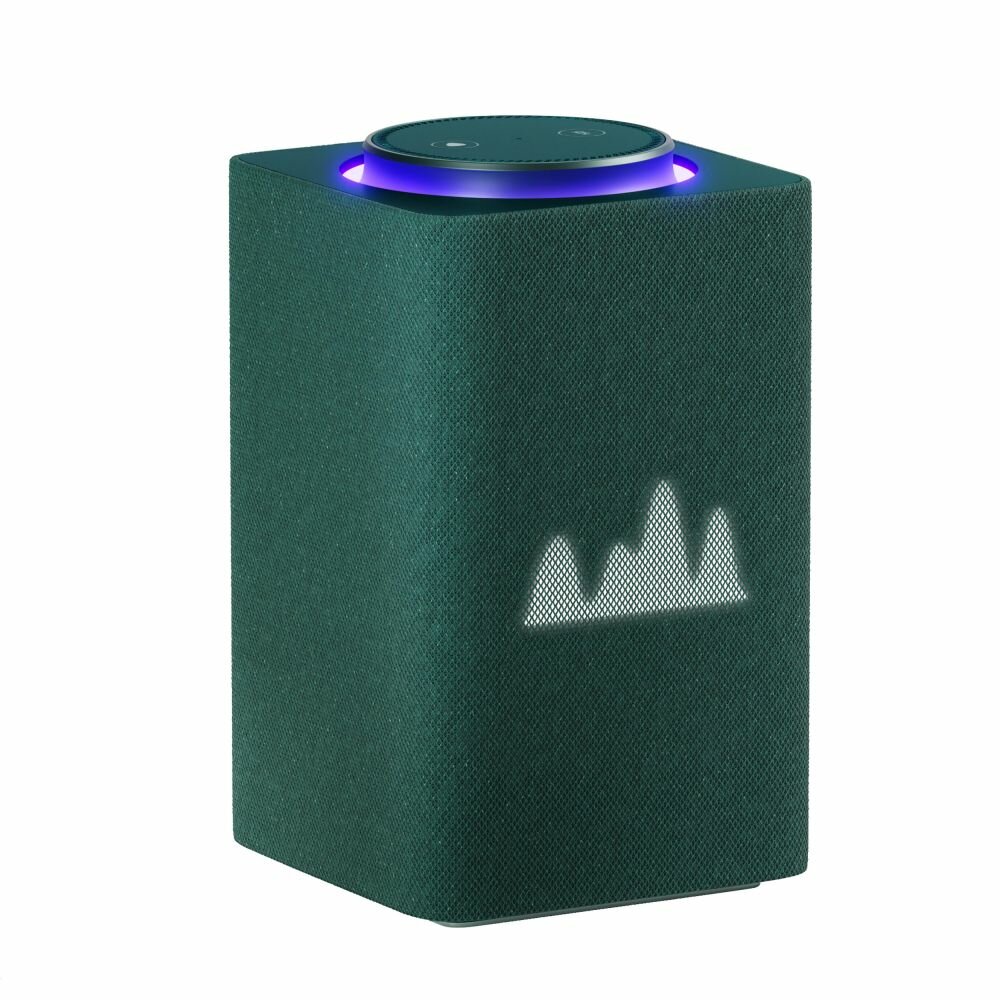 Акустическая система Yandex YNDX-00053Z зеленый 65 Вт Bluetooth
