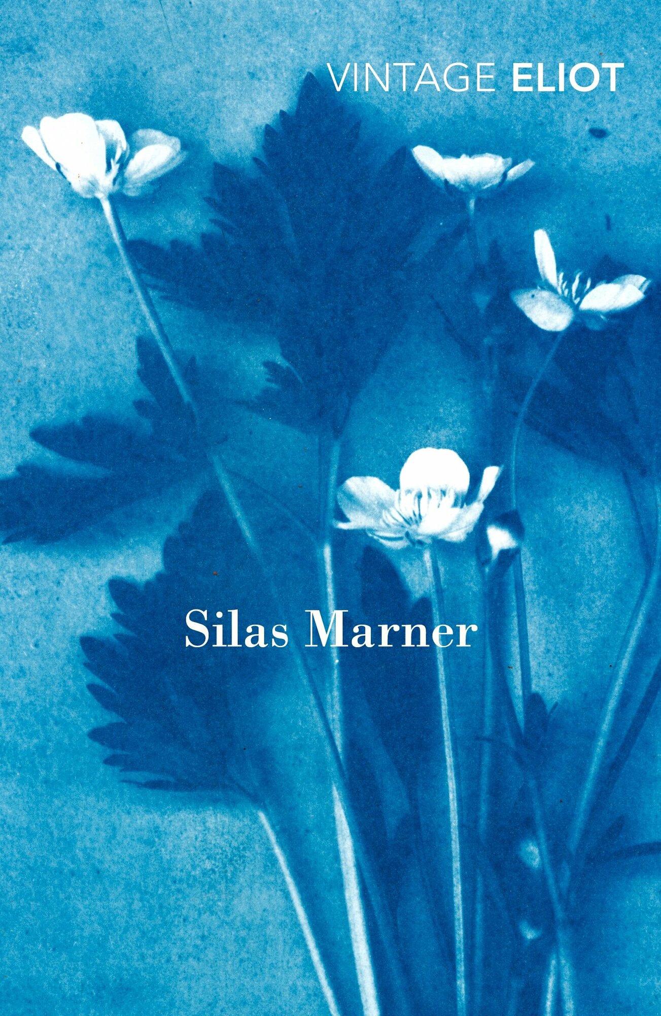 Silas Marner (Элиот Джордж) - фото №1