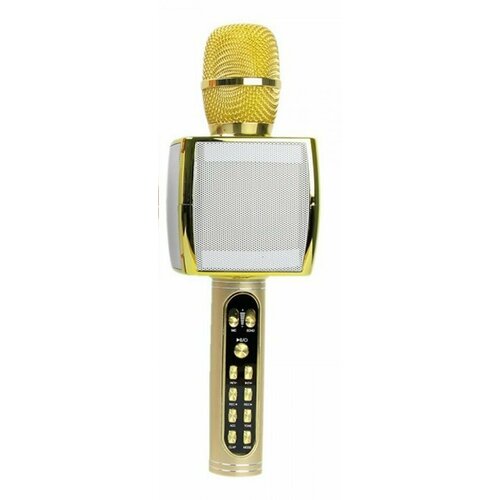 Колонка с микрофоном караоке YS-91 Magic Karaoke SUYOSD YS-91 золото 279500₽