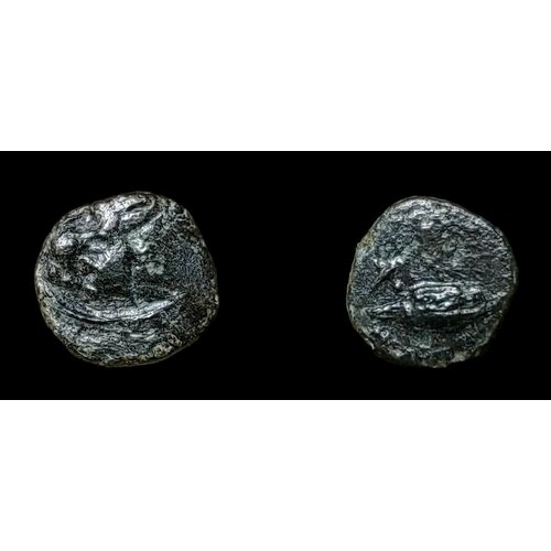 Античная монета Фракия, Херсонес, 386-309 годы до н. э. Голова льва / хлебное зерно древняя Греция