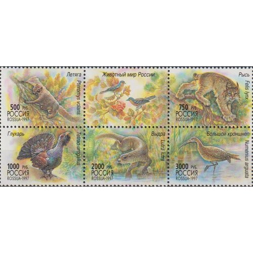 Почтовые марки Россия 1997г. Животный мир России Птицы, Фауна MNH почтовые марки россия 2022г фауна россии певчие птицы птицы u